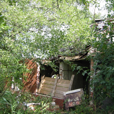 Rijksdienst voor het Cultureel Erfgoed: Terpstra, Frank