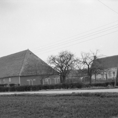 Rijksdienst voor het Cultureel Erfgoed: Schellekens, P.C.