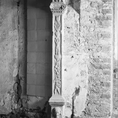 Rijksdienst voor het Cultureel Erfgoed: Delemarre, G.Th.