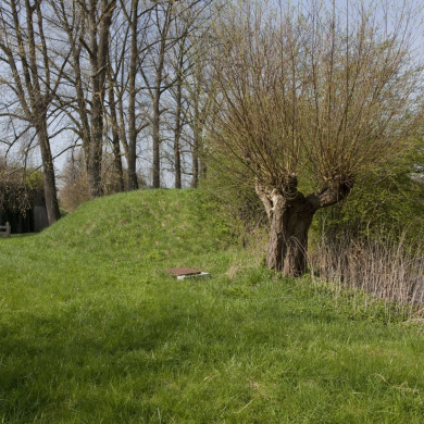 Rijksdienst voor het Cultureel Erfgoed: Galen, P. (Paul) van-Booms, C.S. (Chris)
