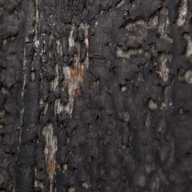 Rijksdienst voor het Cultureel Erfgoed: Roderburg, K. (Kris)