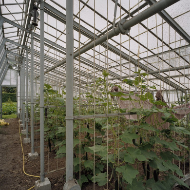 Rijksdienst voor het Cultureel Erfgoed: Heins, IJ.Th.
