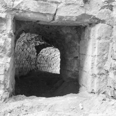 Rijksdienst voor het Cultureel Erfgoed: Delemarre, G.Th.