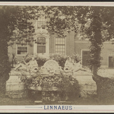 Rijksdienst voor het Cultureel Erfgoed: Rooswinkel & Comp.