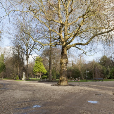 Rijksdienst voor het Cultureel Erfgoed: Booms, C.S. (Chris)