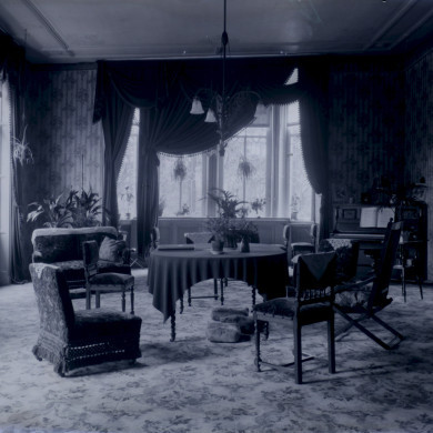 Rijksdienst voor het Cultureel Erfgoed: Brinio