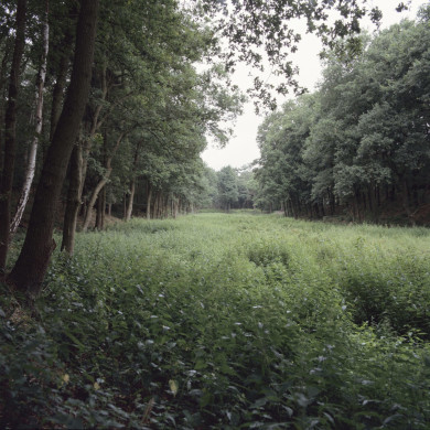 Rijksdienst voor het Cultureel Erfgoed: Roderburg, K. (Kris)