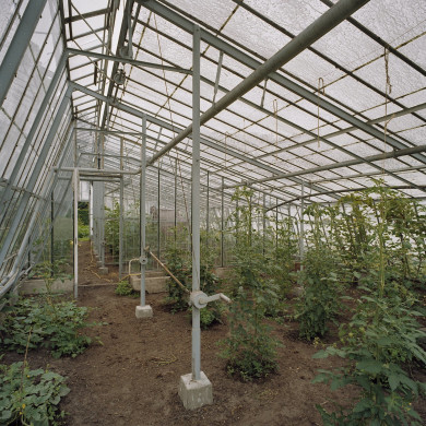 Rijksdienst voor het Cultureel Erfgoed: Heins, IJ.Th.