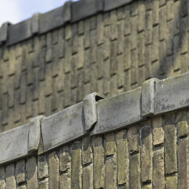 Rijksdienst voor het Cultureel Erfgoed: Galen, Jan van