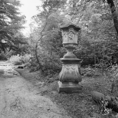 Rijksdienst voor het Cultureel Erfgoed: Wal, A.J. van der