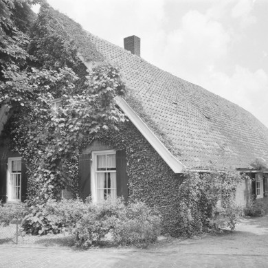 Rijksdienst voor het Cultureel Erfgoed: Delemarre, G.Th.