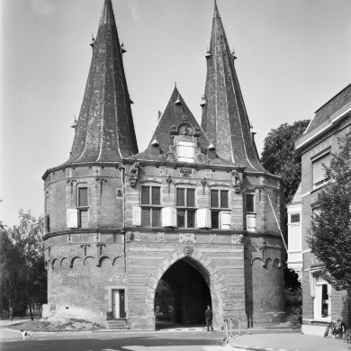 Rijksdienst voor het Cultureel Erfgoed: Delemarre, G.Th.