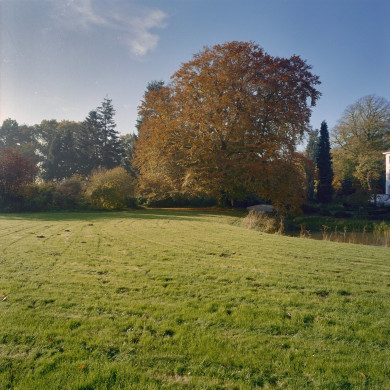 Rijksdienst voor het Cultureel Erfgoed: Koning, J.P. de