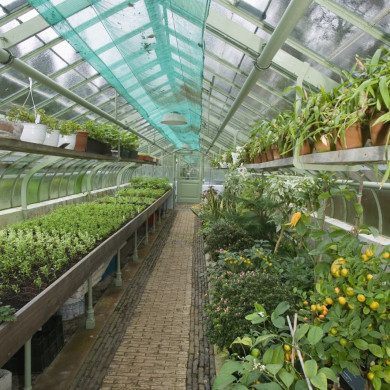 Rijksdienst voor het Cultureel Erfgoed: Roderburg, K. (Kris)