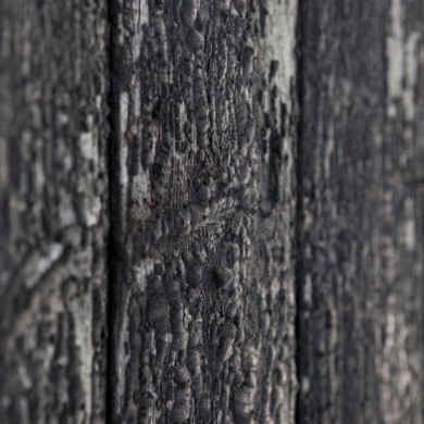 Rijksdienst voor het Cultureel Erfgoed: Roderburg, K. (Kris)