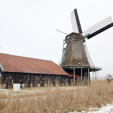 Rijksdienst voor het Cultureel Erfgoed: Booms, C.S. (Chris)