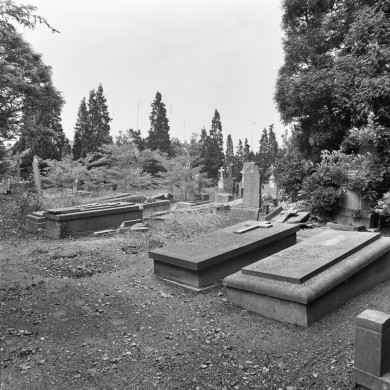 Rijksdienst voor het Cultureel Erfgoed: Wal, A.J. van der