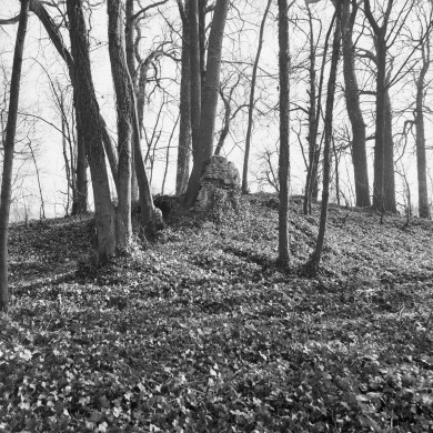 Rijksdienst voor het Cultureel Erfgoed: Dukker, G.J.