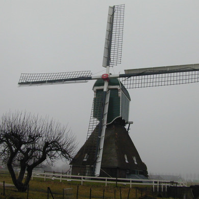 Rijksdienst voor het Cultureel Erfgoed: Terpstra, Frank