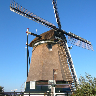 Rijksdienst voor het Cultureel Erfgoed: Terpstra, Frank