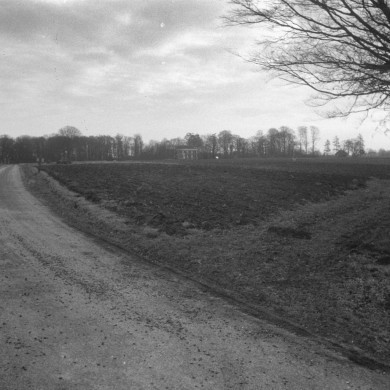 Rijksdienst voor het Cultureel Erfgoed: Delemarre, G.Th.