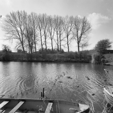 Rijksdienst voor het Cultureel Erfgoed: Heins, IJ.Th.