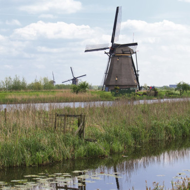 Rijksdienst voor het Cultureel Erfgoed: Jong, Nanette de