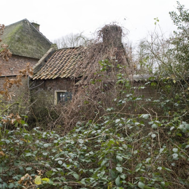 Rijksdienst voor het Cultureel Erfgoed: Booms, C.S. (Chris)
