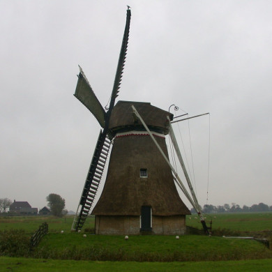 Rijksdienst voor het Cultureel Erfgoed: Terpstra, Frank