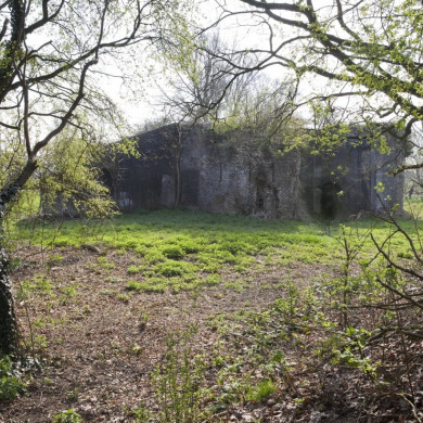 Rijksdienst voor het Cultureel Erfgoed: Galen, P. (Paul) van-Booms, C.S. (Chris)