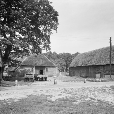 Rijksdienst voor het Cultureel Erfgoed: Delemarre, G.Th.