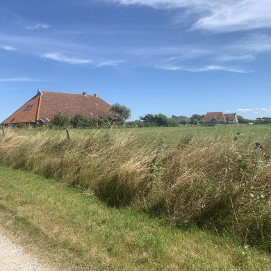 Rijksdienst voor het Cultureel Erfgoed: Bogers, Guido