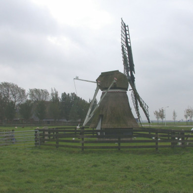 Rijksdienst voor het Cultureel Erfgoed: Terpstra, Frank