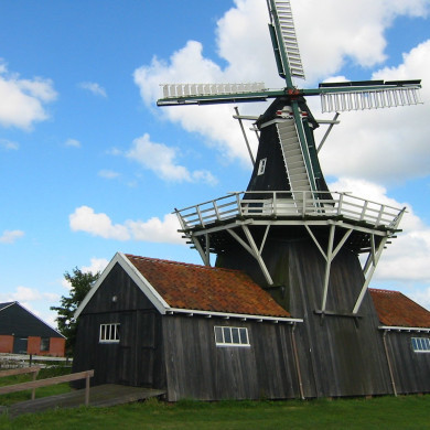 Rijksdienst voor het Cultureel Erfgoed: Terpstra, Frank