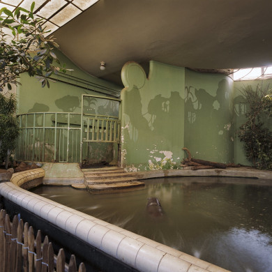 Rijksdienst voor het Cultureel Erfgoed: Wal, A.J. van der