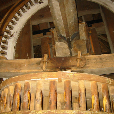 Rijksdienst voor het Cultureel Erfgoed: Terpstra, Frank