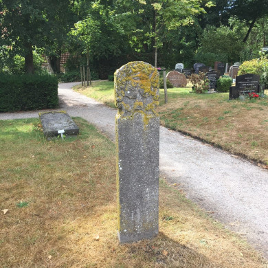 Rijksdienst voor het Cultureel Erfgoed: Dolfin, M. en Erkelens, M.