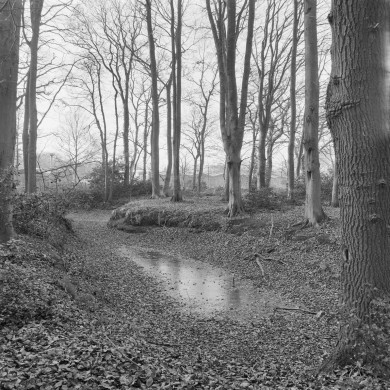 Rijksdienst voor het Cultureel Erfgoed: Wal, A.J. van der