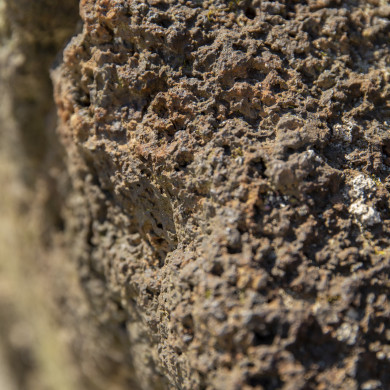 Rijksdienst voor het Cultureel Erfgoed: Sar, Wouter van der
