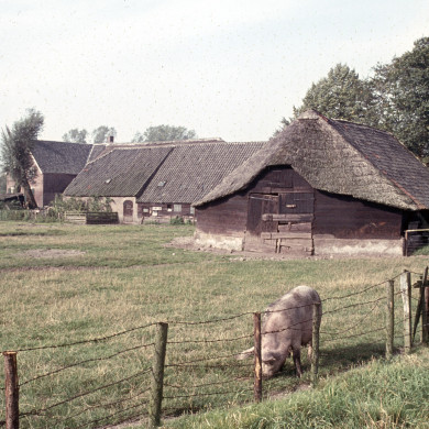 Rijksdienst voor het Cultureel Erfgoed: SHBO, ARNHEM