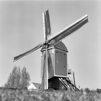 Rijksdienst voor het Cultureel Erfgoed: Galen, P. (Paul) van