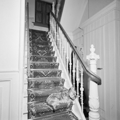 Rijksdienst voor het Cultureel Erfgoed: Koning, J.P. de