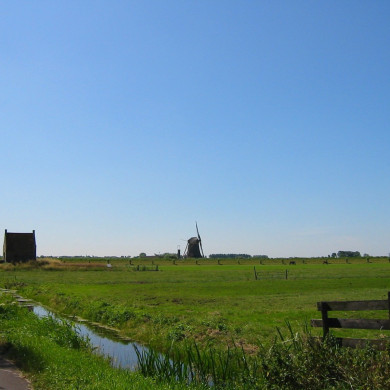 Rijksdienst voor het Cultureel Erfgoed: Terpstra, Frank