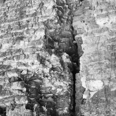 Rijksdienst voor het Cultureel Erfgoed: Berends, G.