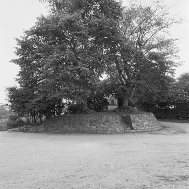 Rijksdienst voor het Cultureel Erfgoed: Tangel, L.M.