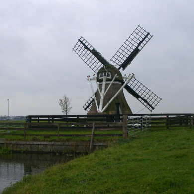 Rijksdienst voor het Cultureel Erfgoed: Terpstra, Frank