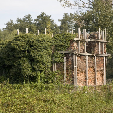 Rijksdienst voor het Cultureel Erfgoed
