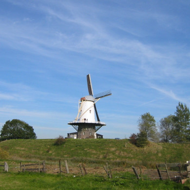 Rijksdienst voor het Cultureel Erfgoed: Terpstra, Frank