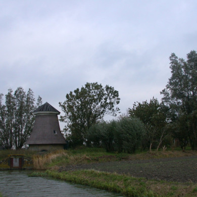 Rijksdienst voor het Cultureel Erfgoed: Terpstra, Frank