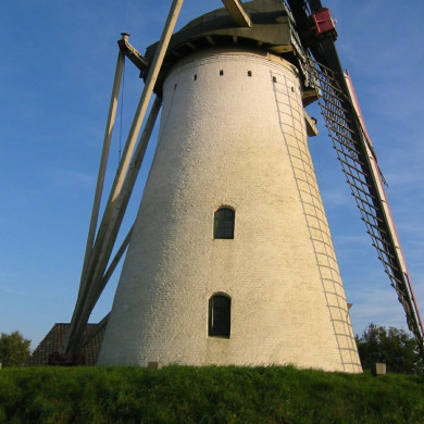 Rijksdienst voor het Cultureel Erfgoed: Terpstra, Frank